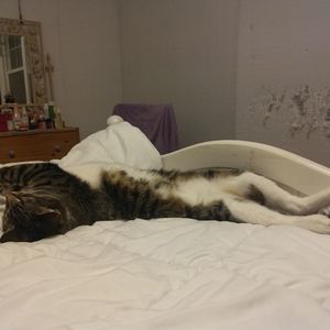 Meet your Posher, Loren